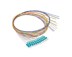 PIGTAIL | SM PIGTAIL | SM
