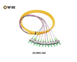 Pigtail 12 Core FC/APC SM 0.9mm ยาว 1.5 เมตร