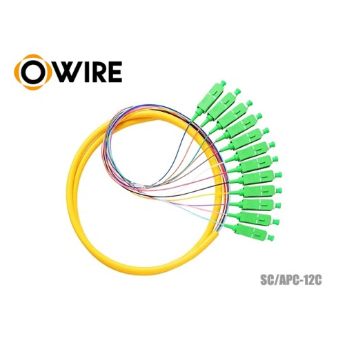 Pigtail 12 Core SC/APC SM 0.9mm ยาว 1.5 เมตร