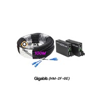 สายไฟเบอร์ออฟติก 2 Core 100 เมตร + Media DX 1G
